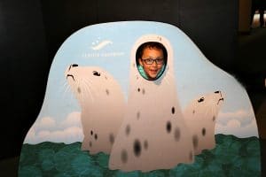Visit Seattle with Kids – Keep Them Wowed With Great Attractions