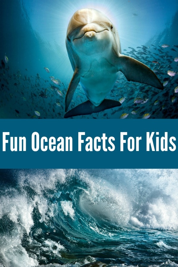 Ocean Facts For Kids 