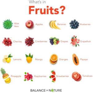 Balance of Nature Fruits