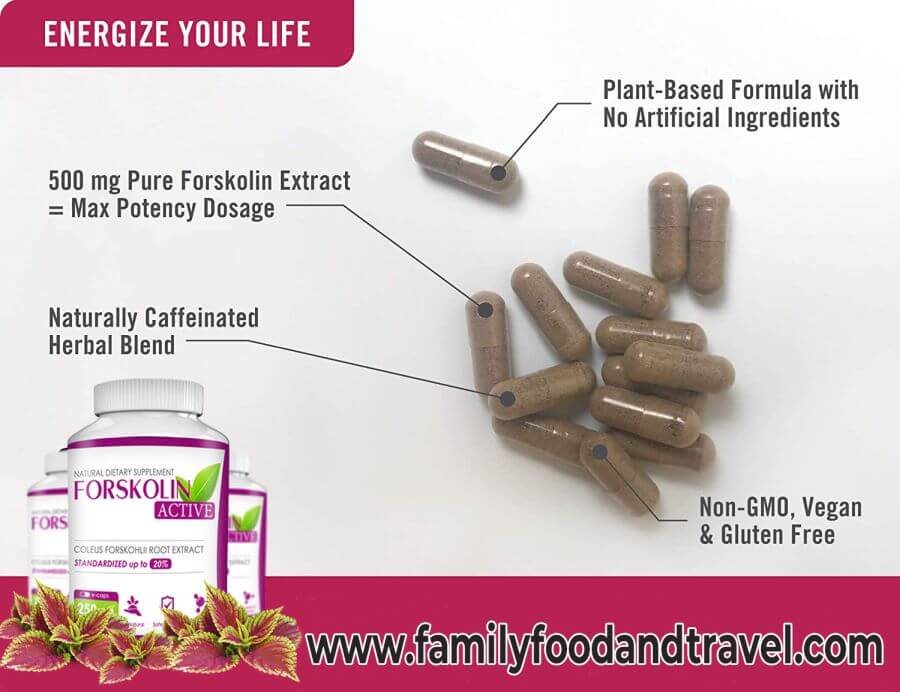 What are the ingredients of Forskolin Active