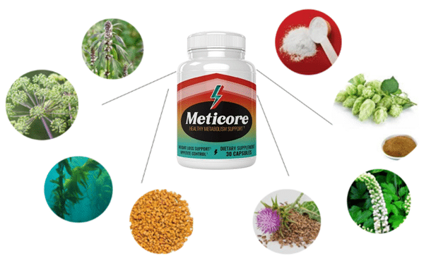 What are the ingredients of Meticore