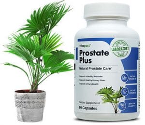Prostate Plus Review Conclusion