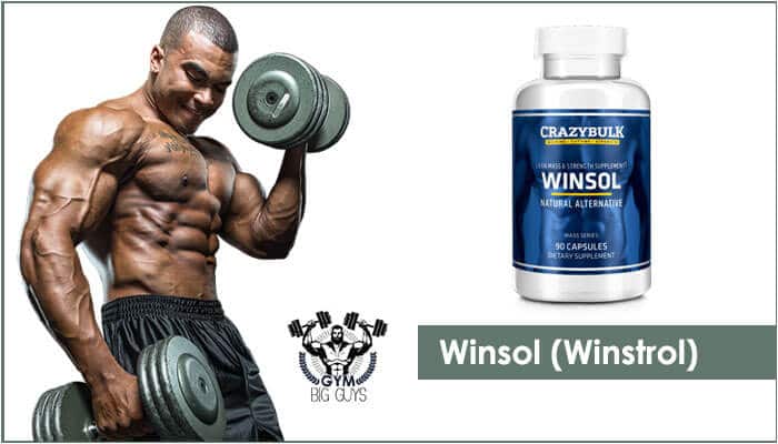 How does Winsol work