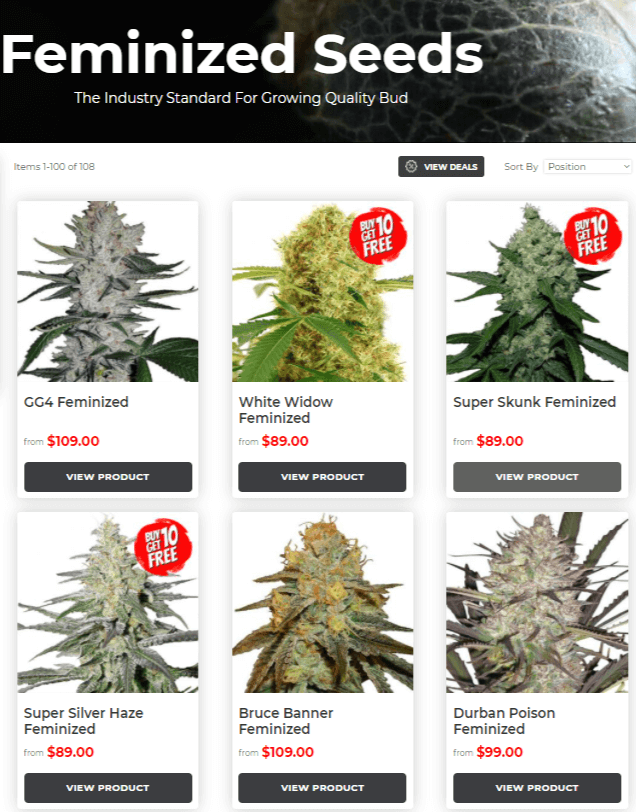 Cannabis Seeds NL