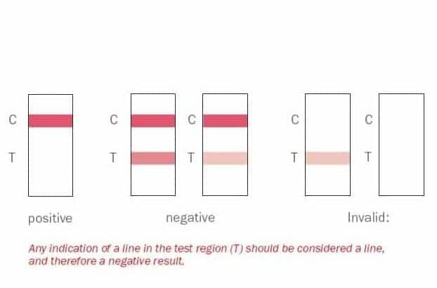 THC Test Kit results