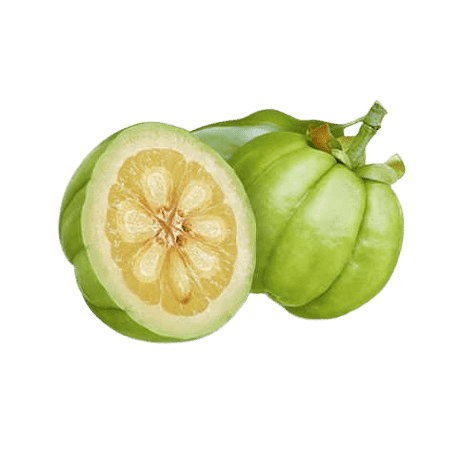 Garcinia Cambogia